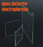 Glass Plate Sale