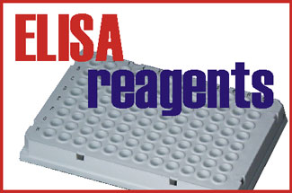 Bridge Reagents